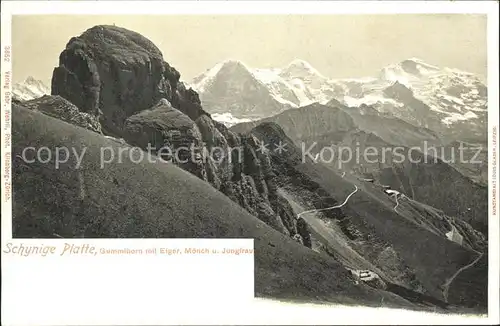 Schynige Platte Gummihorn mit Eiger Moench Jungfrau Kat. Schynige Platte