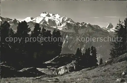 Riederalp Naturschutzgebiet Aletschwald mit Alphubel Mischabel Matterhorn Kat. Riederalp