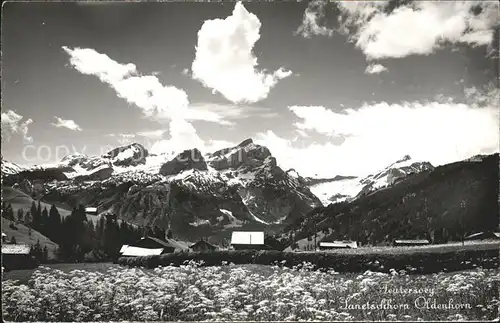 Feutersoey Sanetschhorn Oldenhorn Kat. Feutersoey