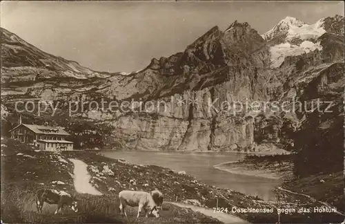 Oeschinensee mit Hohtuerli Kat. Oeschinenhorn