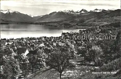 Waedenswil mit Alpen Kat. Waedenswil