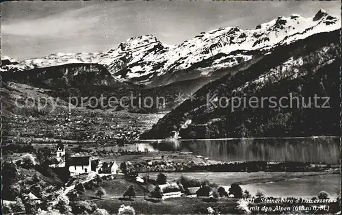 Steinerberg mit Lowerzersee und Alpen Kat. Steinerberg