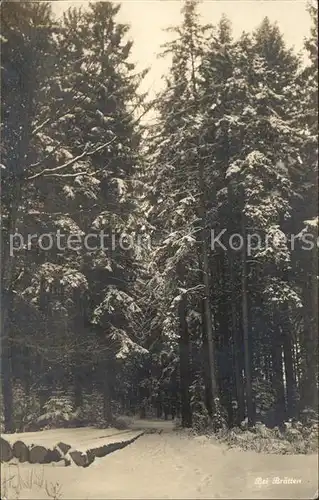 Bruetten Waldpartie Kat. Bruetten