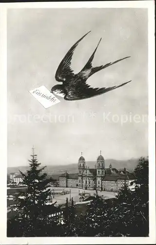 Einsiedeln SZ Kloster Brieftaube / Einsiedeln /Bz. Einsiedeln