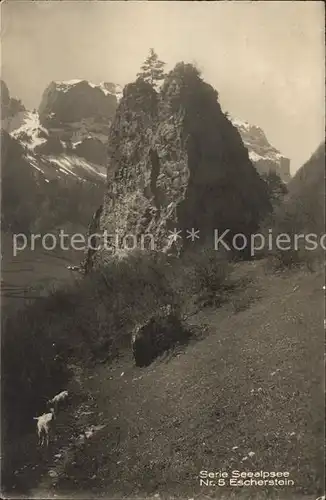 Seealpsee Escherstein  Kat. Schwende