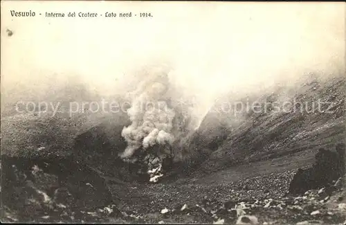 Vesuvio Interno del Cratere Lato nord Kat. Napoli