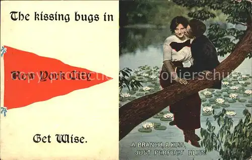 New York City Kissing bugs Paar auf Baumstamm / New York /
