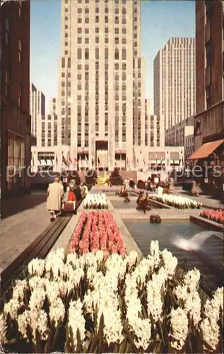 New York City Rockefeller Center Garden Plaza / New York /