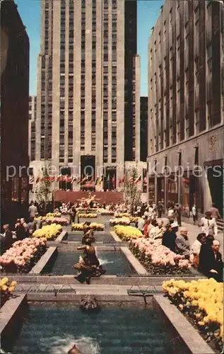 New York City Rockefeller Center Flower Plaza / New York /