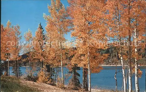 Branchville New Jersey Lake in Autumn Kat. Branchville