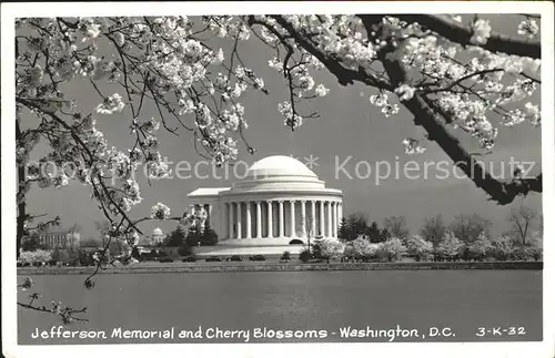 Washington DC Jefferson memorial cherry blossoms Kat. Washington