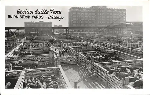 Chicago Illinois Section Cattle Pens Union Stock Yards Kat. Chicago