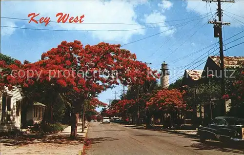 Key West Simonton Street Lighthouse Kat. Key West