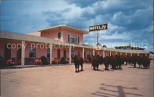 Moville Motel 20 Bueffel Kat. Moville