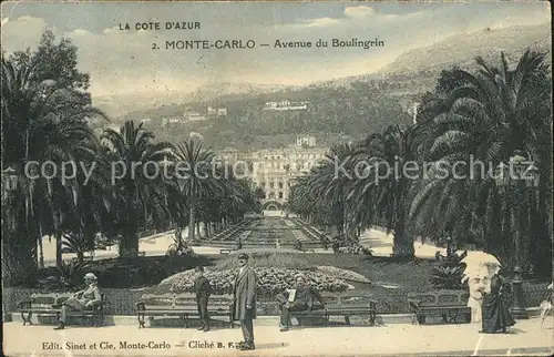 Monte Carlo Avenue du Boulingrin Palmiers Kat. Monte Carlo