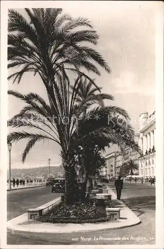 Nice Alpes Maritimes Promenade des Anglais Palmier Kat. Nice