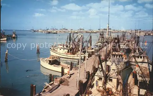 Key West Shrimp Boats Harbor Kat. Key West