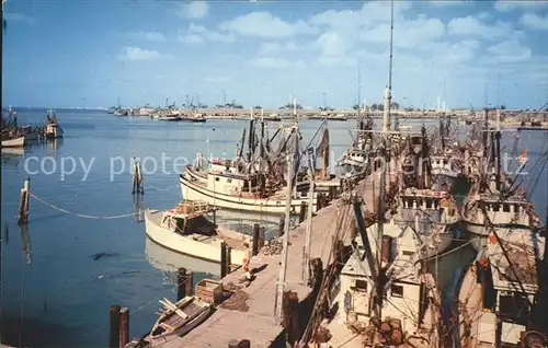 Key West Shrimp Boats Harbor Kat. Key West