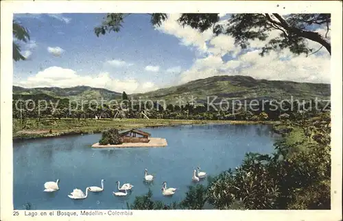 Medellin Lago en el Bosque Schwan Kat. Medellin