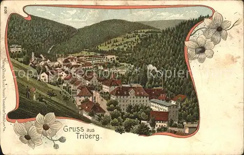 Triberg Schwarzwald Litho / Triberg im Schwarzwald /Schwarzwald-Baar-Kreis LKR
