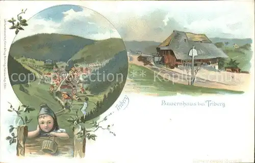 Triberg Schwarzwald Bauernhaus Litho / Triberg im Schwarzwald /Schwarzwald-Baar-Kreis LKR