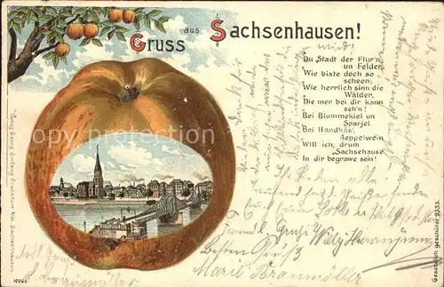 Sachsenhausen Frankfurt Apfelkarte Gedicht Litho / Frankfurt am Main /Frankfurt Main Stadtkreis