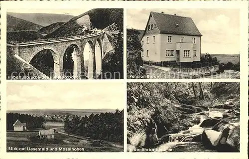 Liesenfeld Hunsrueck Pension Breder Hubertusbruecke Ehrbachklamm / Emmelshausen /Rhein-Hunsrueck-Kreis LKR