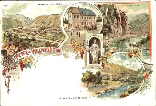 Walporzheim St. Peter Bunte Kuh Marienthal Trauben Litho / Bad Neuenahr-Ahrweiler /Ahrweiler LKR