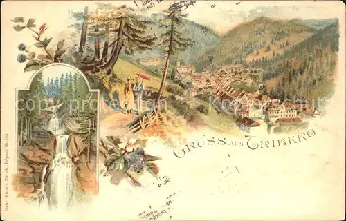 Triberg Schwarzwald Wasserfall Litho / Triberg im Schwarzwald /Schwarzwald-Baar-Kreis LKR