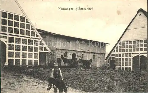 Stade Niederelbe kehdinger Marschhof Pferde Kuh / Stade /Stade LKR