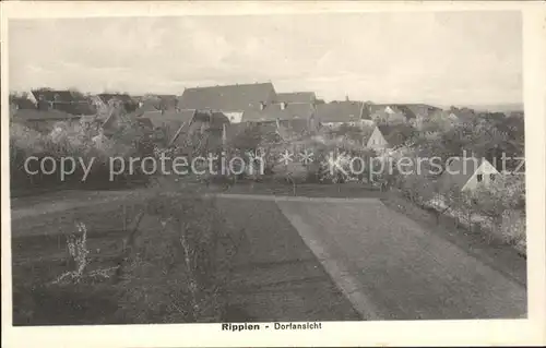 Rippien Dorfansicht / Bannewitz /Saechsische Schweiz-Osterzgebirge LKR