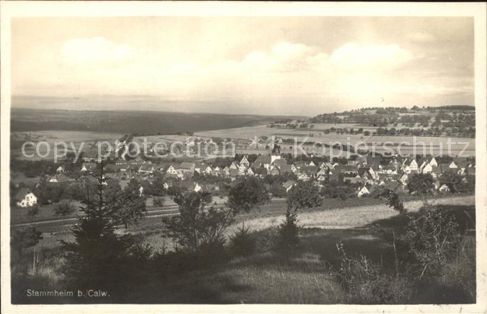 Stammheim Calw Panorama / Calw /Calw LKR Nr. cx47432 oldthing