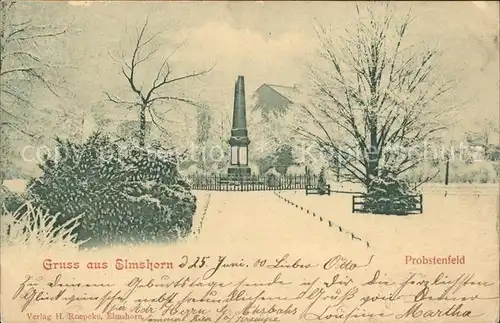 Elmshorn Probstenfeld Denkmal im Winter / Elmshorn /Pinneberg LKR