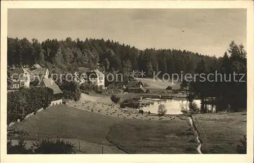 Koenigsfeld Schwarzwald Saegeweiher Hoehenluftkurort / Koenigsfeld im Schwarzwald /Schwarzwald-Baar-Kreis LKR