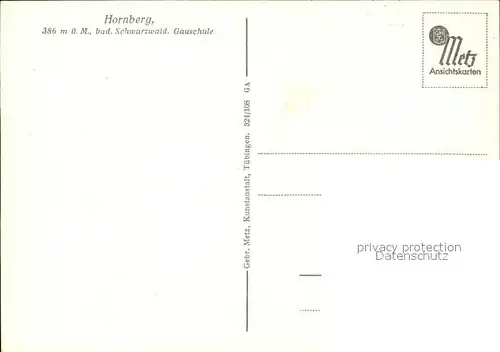 Hornberg Schwarzwald Gauschule Kuenstlerkarte / Hornberg /Ortenaukreis LKR