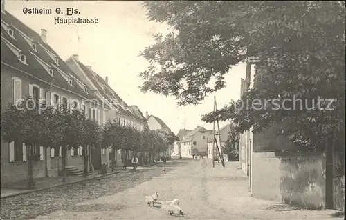 Ostheim Haut Rhin Elsass Hauptstrasse / Ostheim /Arrond. de Ribeauville