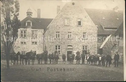 Grupenhagen Gut Postenholz Pferde Kuehe / Aerzen /Hameln-Pyrmont LKR