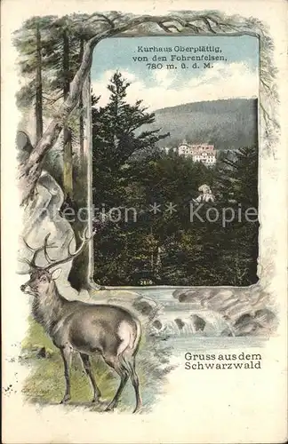 Buehl Baden Kurhaus Oberplaettig Hirsch Litho / Buehl /Rastatt LKR