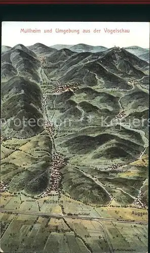 Muellheim Baden Vogelschau Auggen Lipburg Oberweiler Voegisheim / Muellheim /Breisgau-Hochschwarzwald LKR