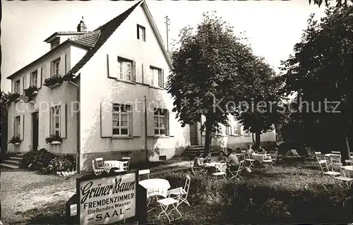 Glottertal Heuweiler Gasthaus Gruener Baum  / Glottertal Schwarzwald /Breisgau-Hochschwarzwald LKR