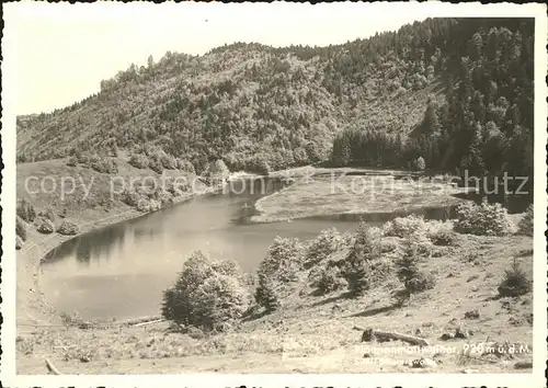 Loerrach Kleines Wiesental Nonnenmattweiher  / Loerrach /Loerrach LKR