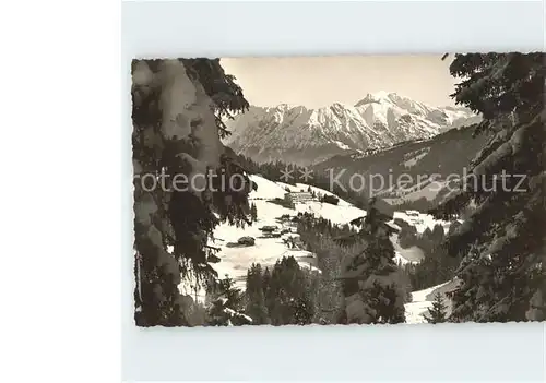 Oberstdorf Berglandschaft Kat. Oberstdorf