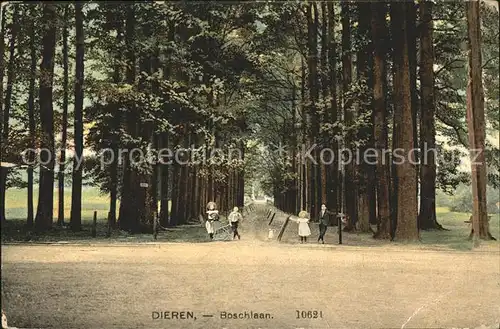 Dieren Boschlaan Kat. Dieren