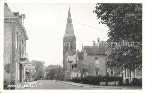 Dieren Hogestraat Kat. Dieren