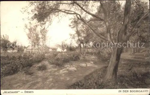 Dieren Acaciahof Boomgaard Kat. Dieren