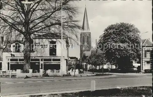 Dieren Hogestraat Kat. Dieren