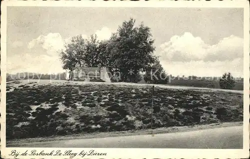 Dieren Posbank Steeg Kat. Dieren