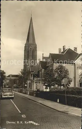 Dieren Kerk Kat. Dieren