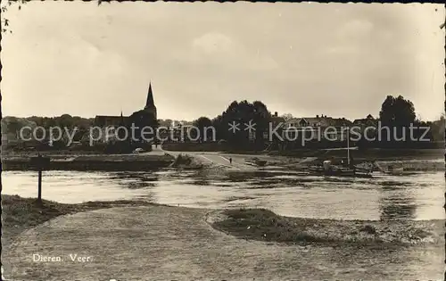 Dieren Veer Kat. Dieren