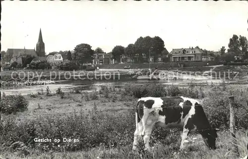 Dieren Kuh Kerk Kat. Dieren